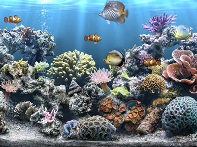 What is aquarium screen saver